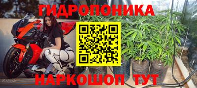твердый Лесосибирск