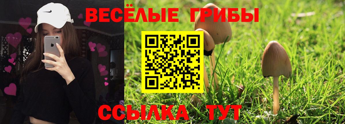 Галлюциногенные грибы MAGIC MUSHROOMS  Вход с VPN  Ефремов 