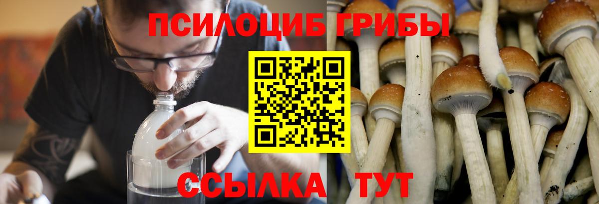 Гашиш  A PVP СОЛЬ кристаллы  NBOMe  Ефремов  Мефедрон кристаллы  Конопля  Вход с VPN  Кокаин  Гашиш 